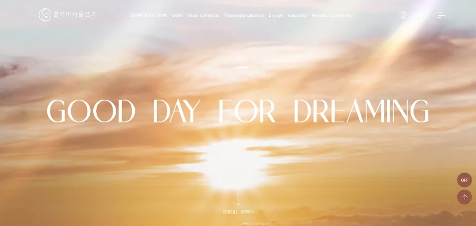 Clear Seoul Eye Clinic website by WACUS